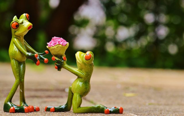 A marriage proposal, two figurine frogs