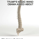 La bacchetta magica di Trump