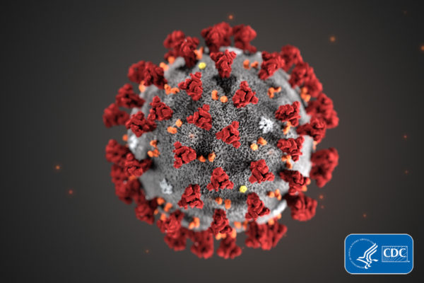 electronic microscope enhanced image of Coronavirus